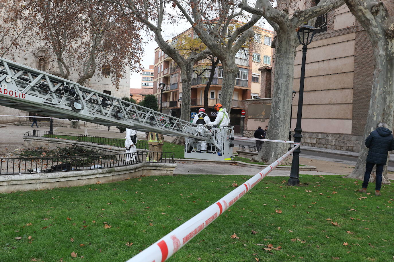 La intervención, en una zona céntrica de Valladolid, ha quitado los materiales acumulados por las aves ante el peligro de desplome, con pesos de alrededor de 500 y 1.000 kg