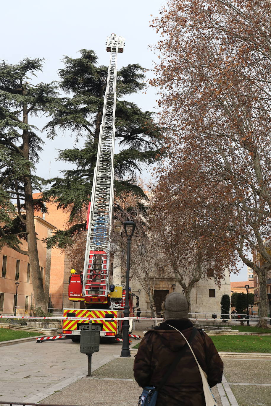 La intervención, en una zona céntrica de Valladolid, ha quitado los materiales acumulados por las aves ante el peligro de desplome, con pesos de alrededor de 500 y 1.000 kg