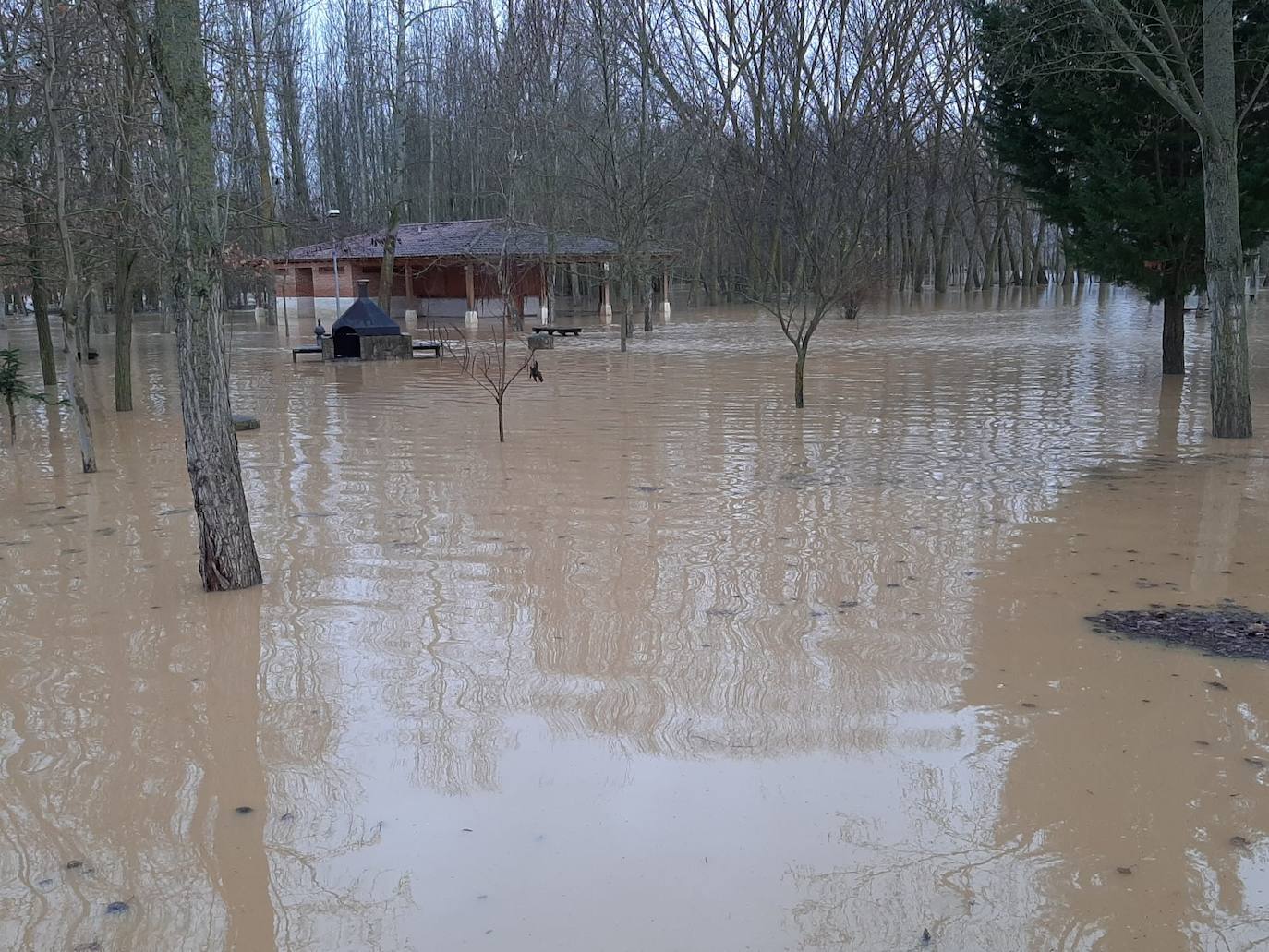 Río Cea en Melgar de Arriba.