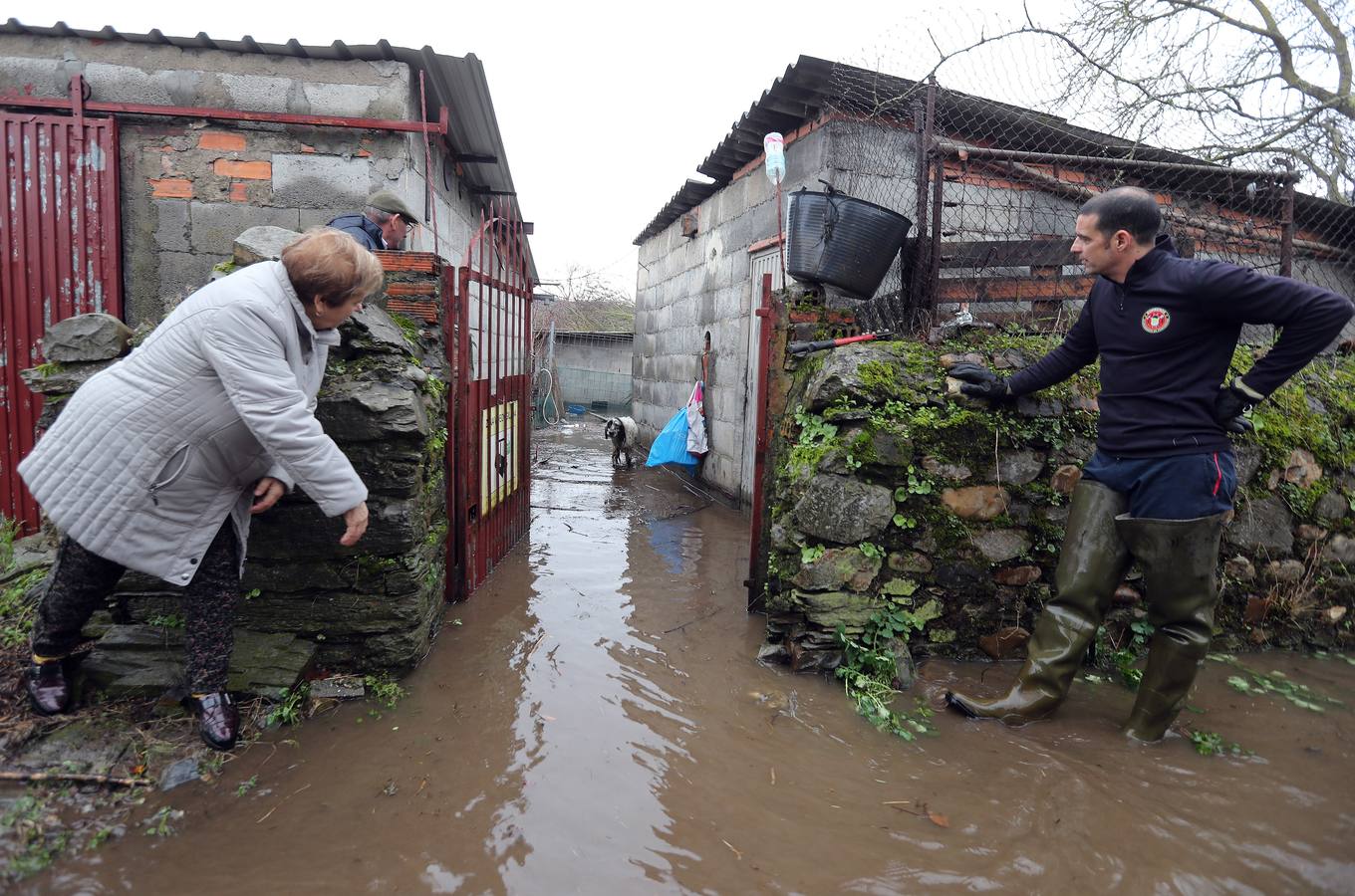 Los bomberos de Ponferrada rescatan a dos perros y varias gallinas de un corral debido a la crecida del río Boeza a su paso por Ponferrada.