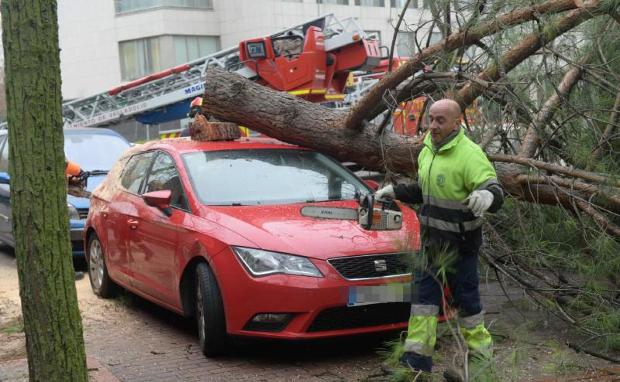 Fabien deja en alerta a Valladolid durante todo el fin de semana