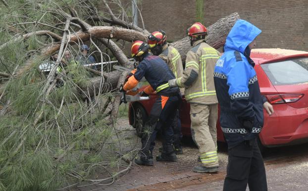 Un árbol caído sobre un vehículo en la calle Juan Segundo de Castilla. 