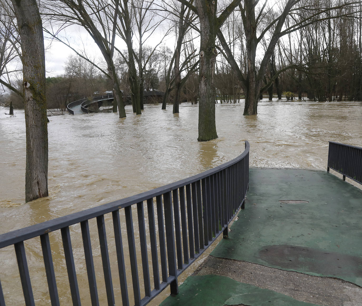 Árboles caidos, puentes y parques anegados por la crecida del río. 