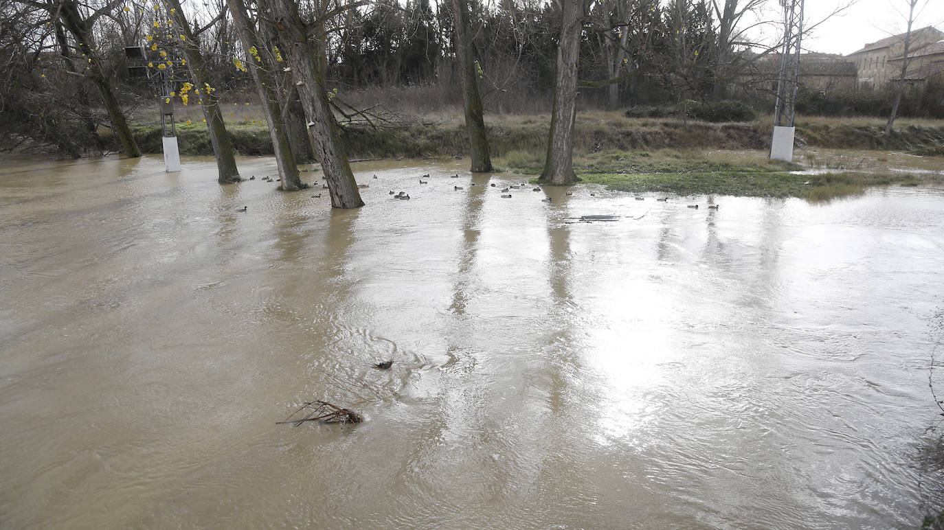 Árboles caidos, puentes y parques anegados por la crecida del río. 