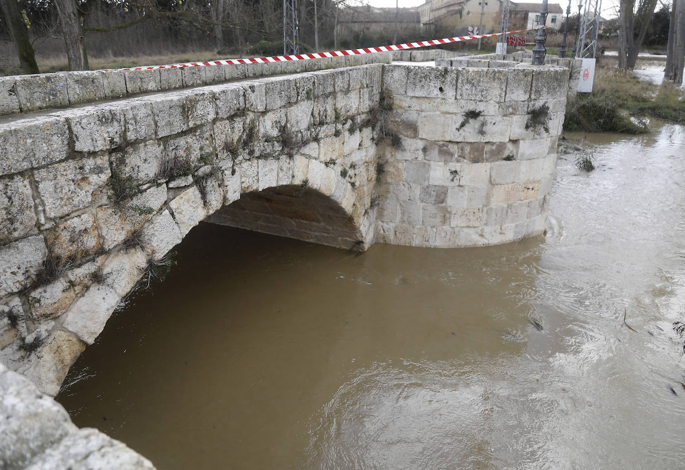 Árboles caidos, puentes y parques anegados por la crecida del río. 