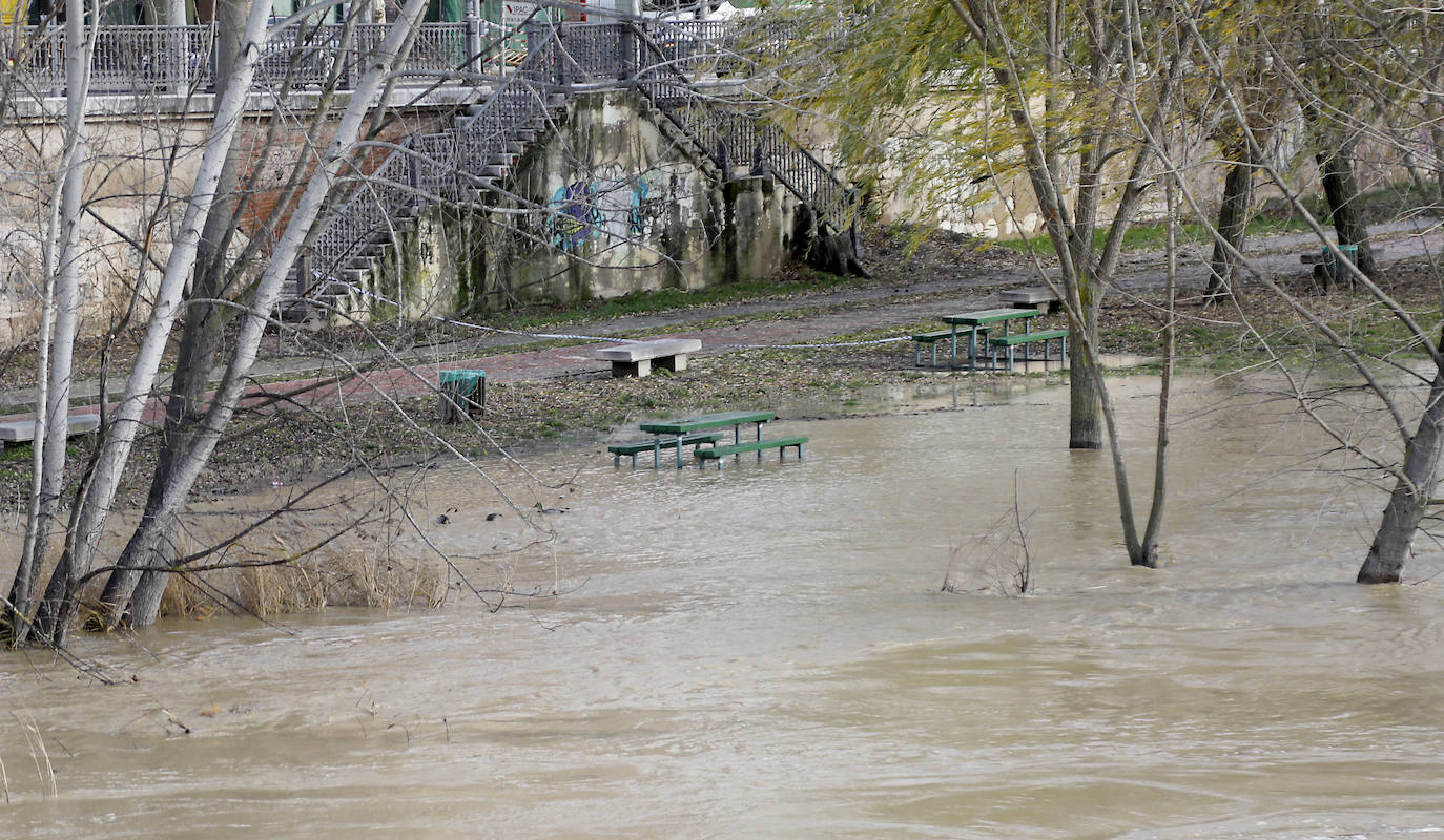 Árboles caidos, puentes y parques anegados por la crecida del río. 