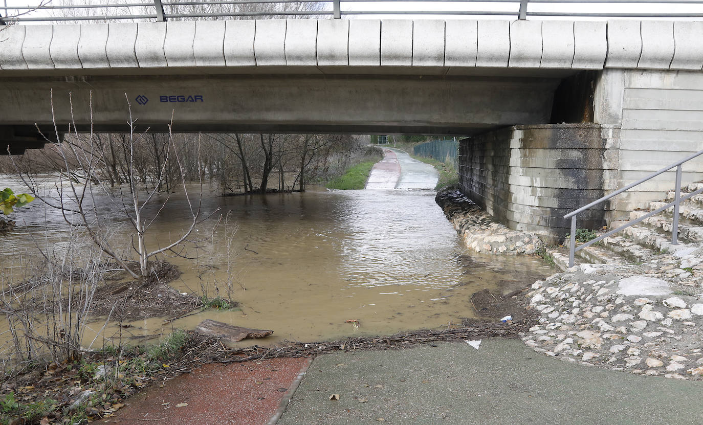 Árboles caidos, puentes y parques anegados por la crecida del río. 