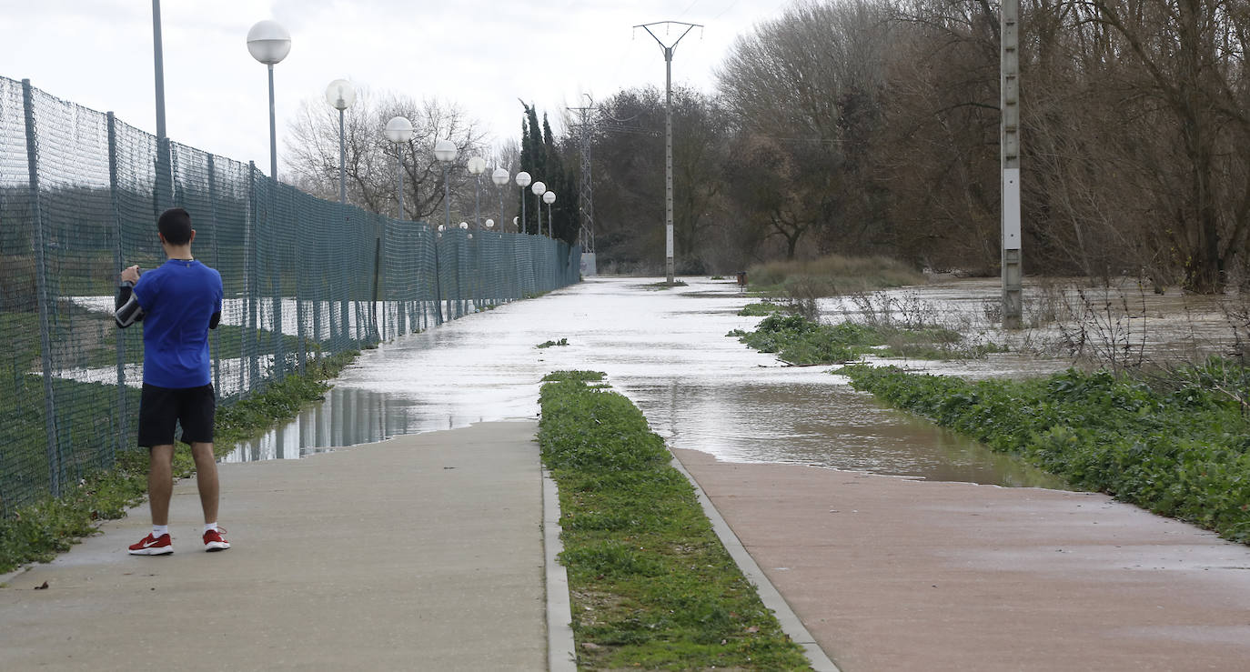 Árboles caidos, puentes y parques anegados por la crecida del río. 