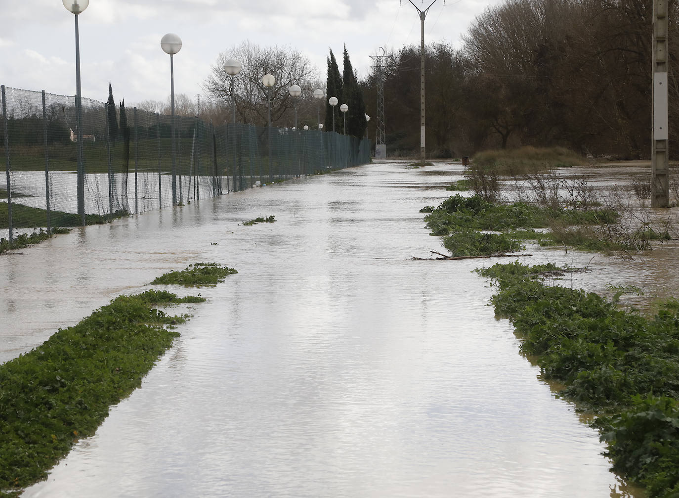 Árboles caidos, puentes y parques anegados por la crecida del río. 