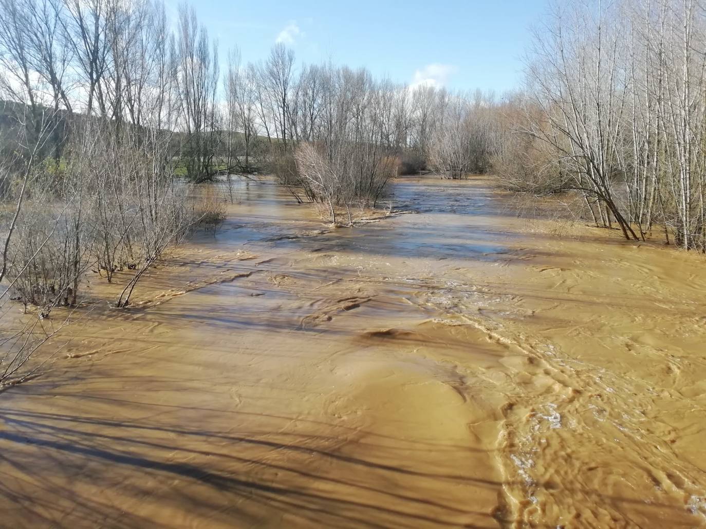 El río Cea a su paso por Melgar de Abajo