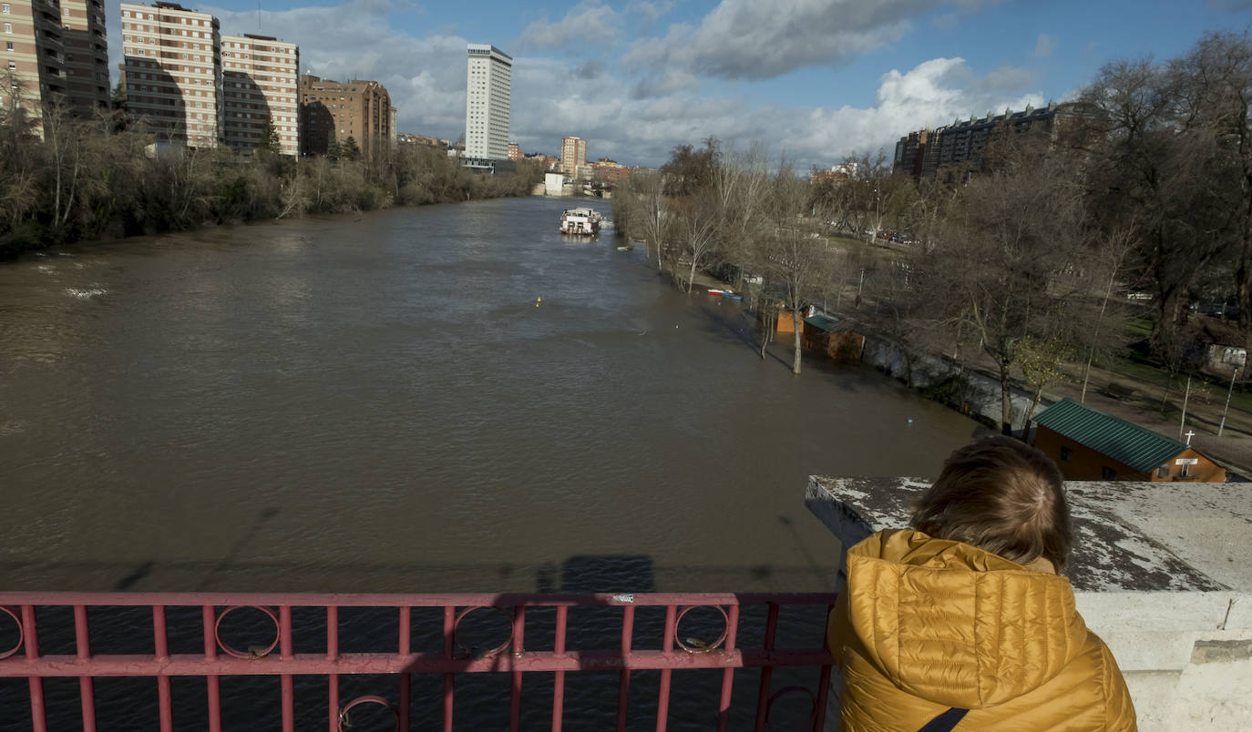 La CHD advierte de una importante crecida del río en la capital debido al elevado caudal que arrastra, el Pisuerga y sus afluentes desde las provincias de Palencia y Burgos. 