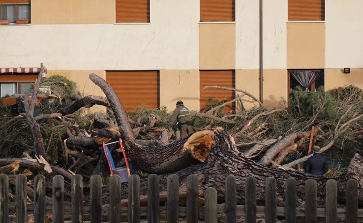 Las consecuencias del temporal en la provincia de Valladolid