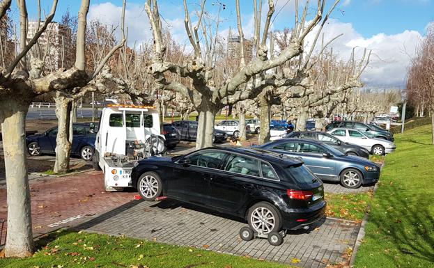 La grúa retira los vehículos aparcados en las Moreras por el cierre del 'parking' ante la crecida del río. 