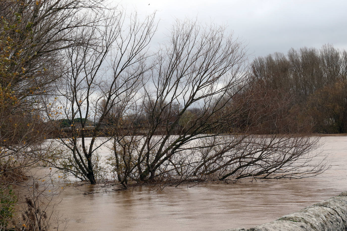 Fotos: El Pisuerga, a punto de inundar por completo el puente de Simancas