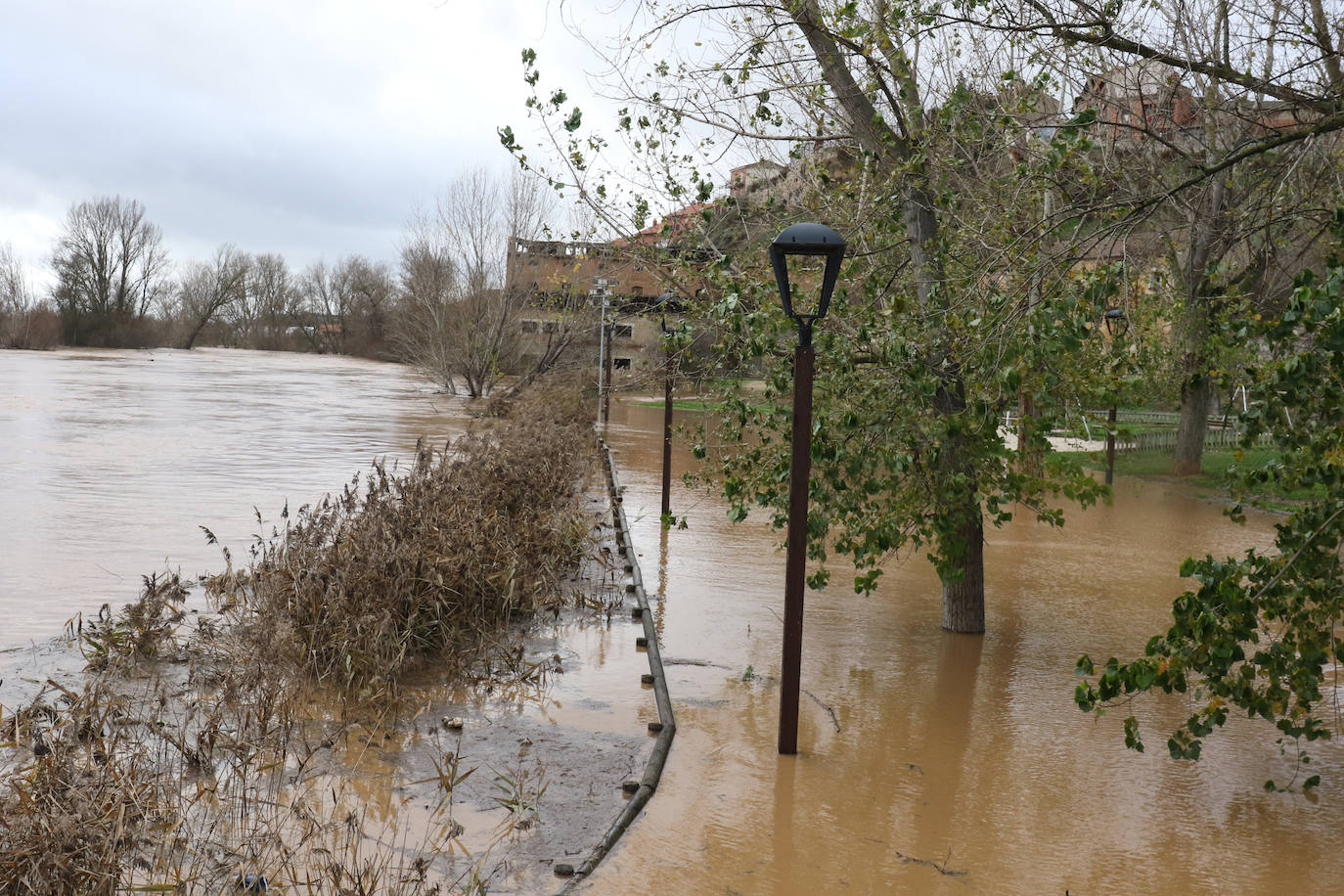 Fotos: El Pisuerga, a punto de inundar por completo el puente de Simancas