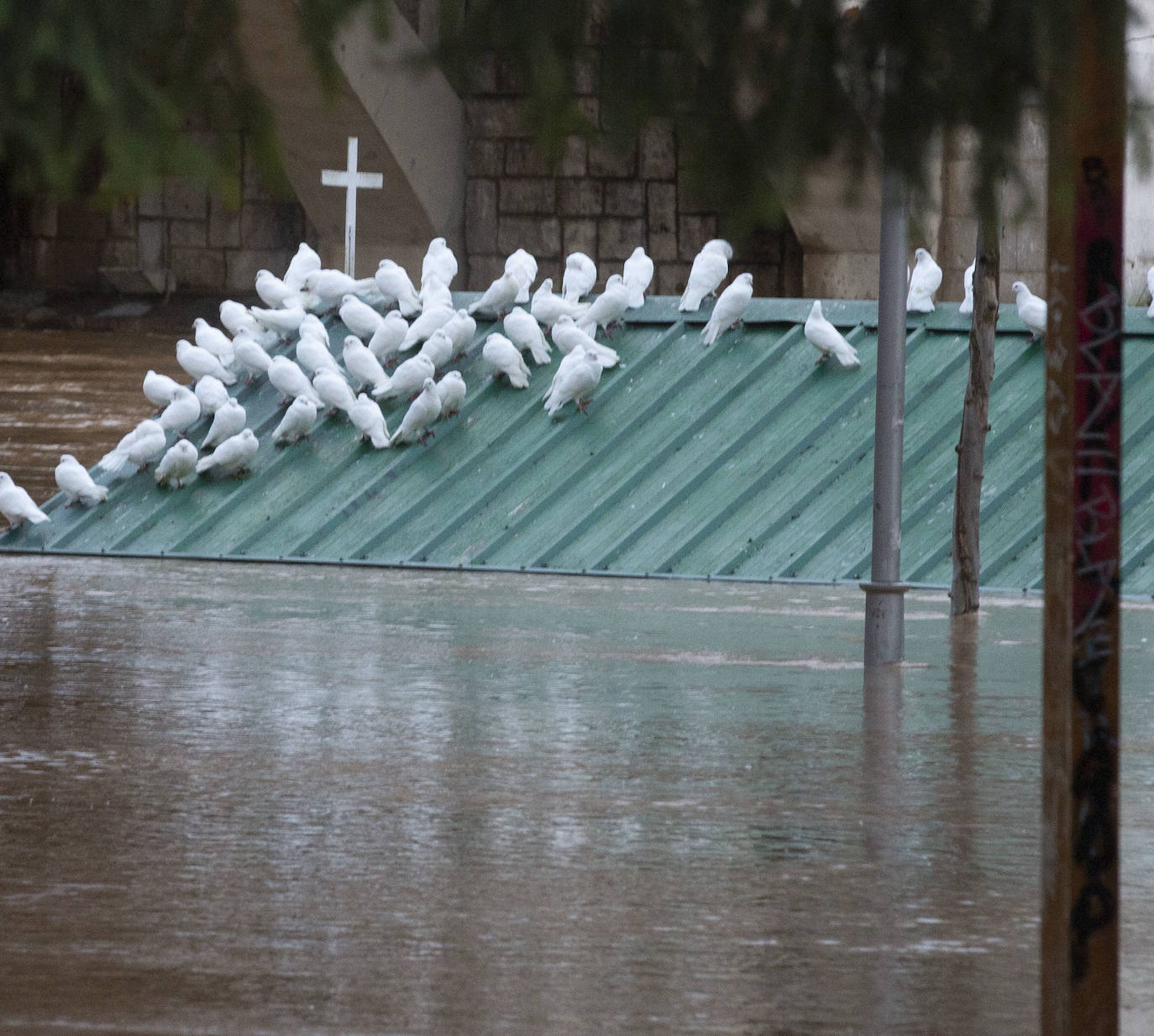 Durante este domingo el caudal fluvial del Pisuerga a su paso por Valladolid ha alcanzado los 1.190 metros cúbicos por segundo.