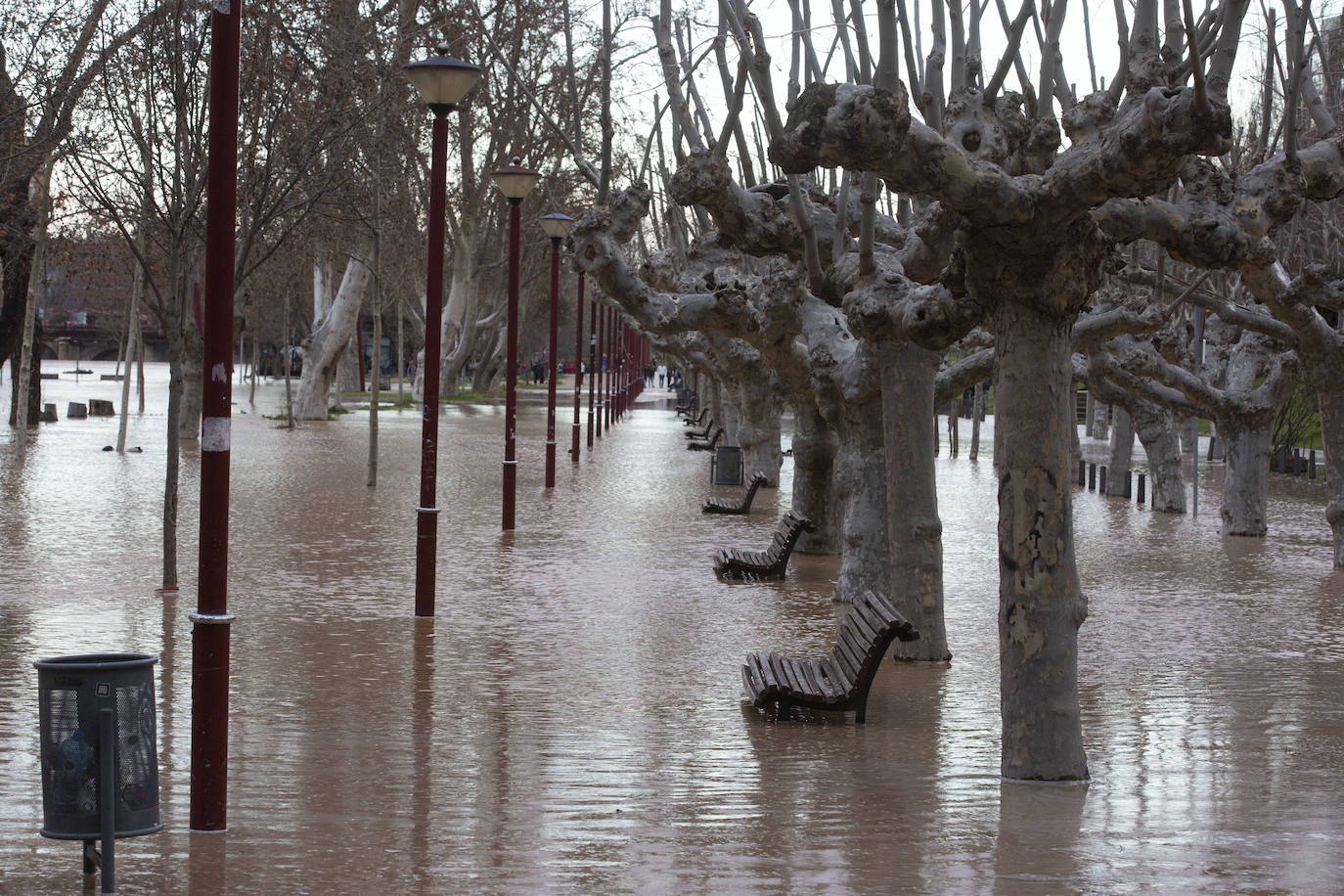 Durante este domingo el caudal fluvial del Pisuerga a su paso por Valladolid ha alcanzado los 1.190 metros cúbicos por segundo.