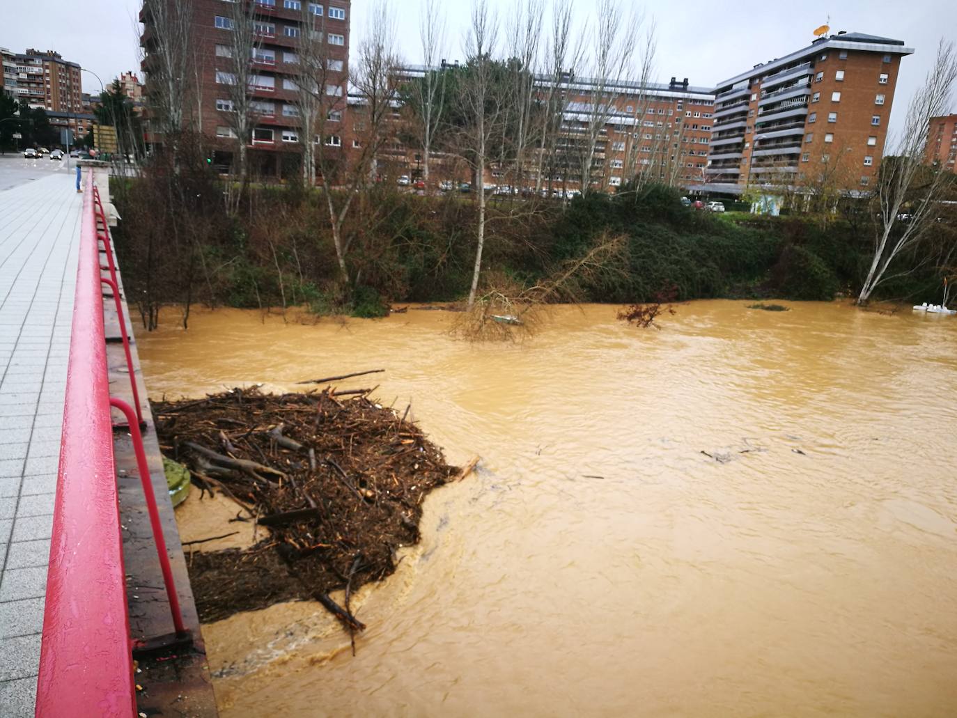 Durante este domingo el caudal fluvial del Pisuerga a su paso por Valladolid ha alcanzado los 1.190 metros cúbicos por segundo.