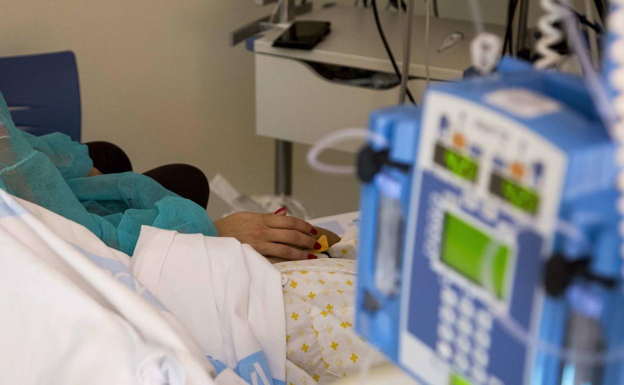 Sanidad impartirá a sus profesionales una formación de «alta calidad» en paliativos