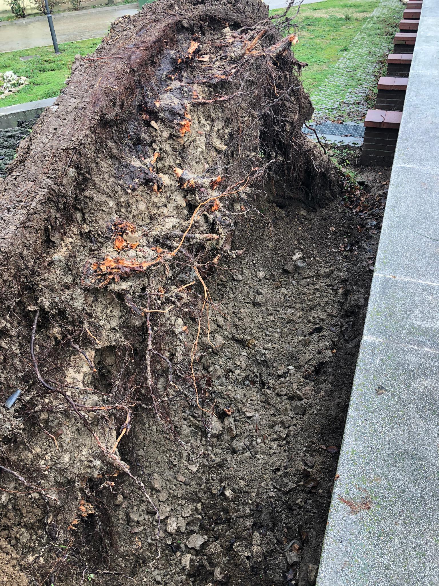 Daños en San Martín de Valveni.