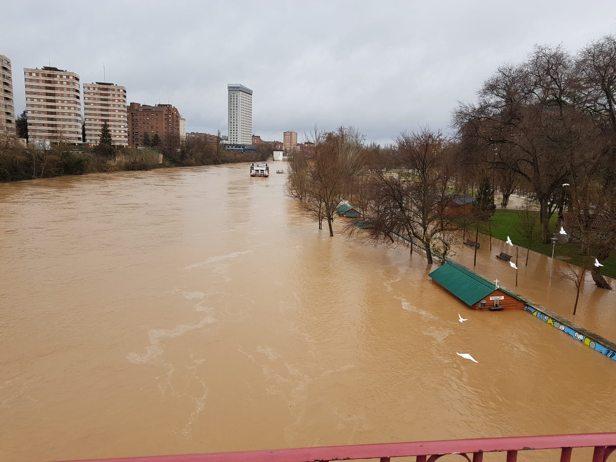 Durante este domingo el caudal fluvial del Pisuerga a su paso por Valladolid ha alcanzado los 1.190 metros cúbicos por segundo.