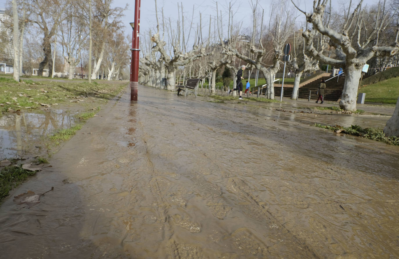 Estado del río Pisuerga a su paso por Valladolid capital este lunes 23 de diciembre por la mañana. 