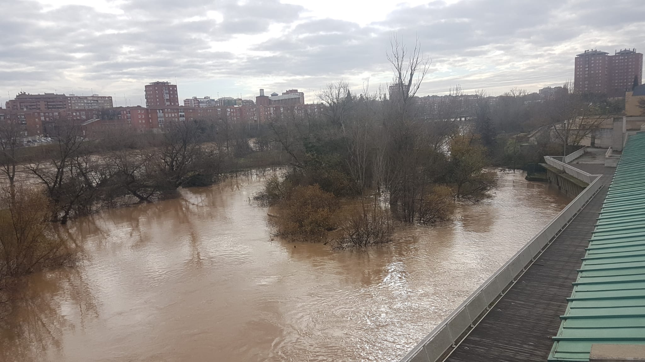 Estado del río Pisuerga a su paso por Valladolid capital este lunes 23 de diciembre por la mañana. 