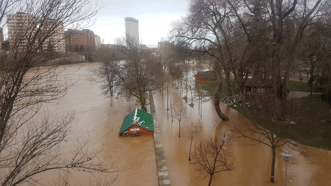 Estado del río Pisuerga a su paso por Valladolid capital este lunes 23 de diciembre por la mañana. 