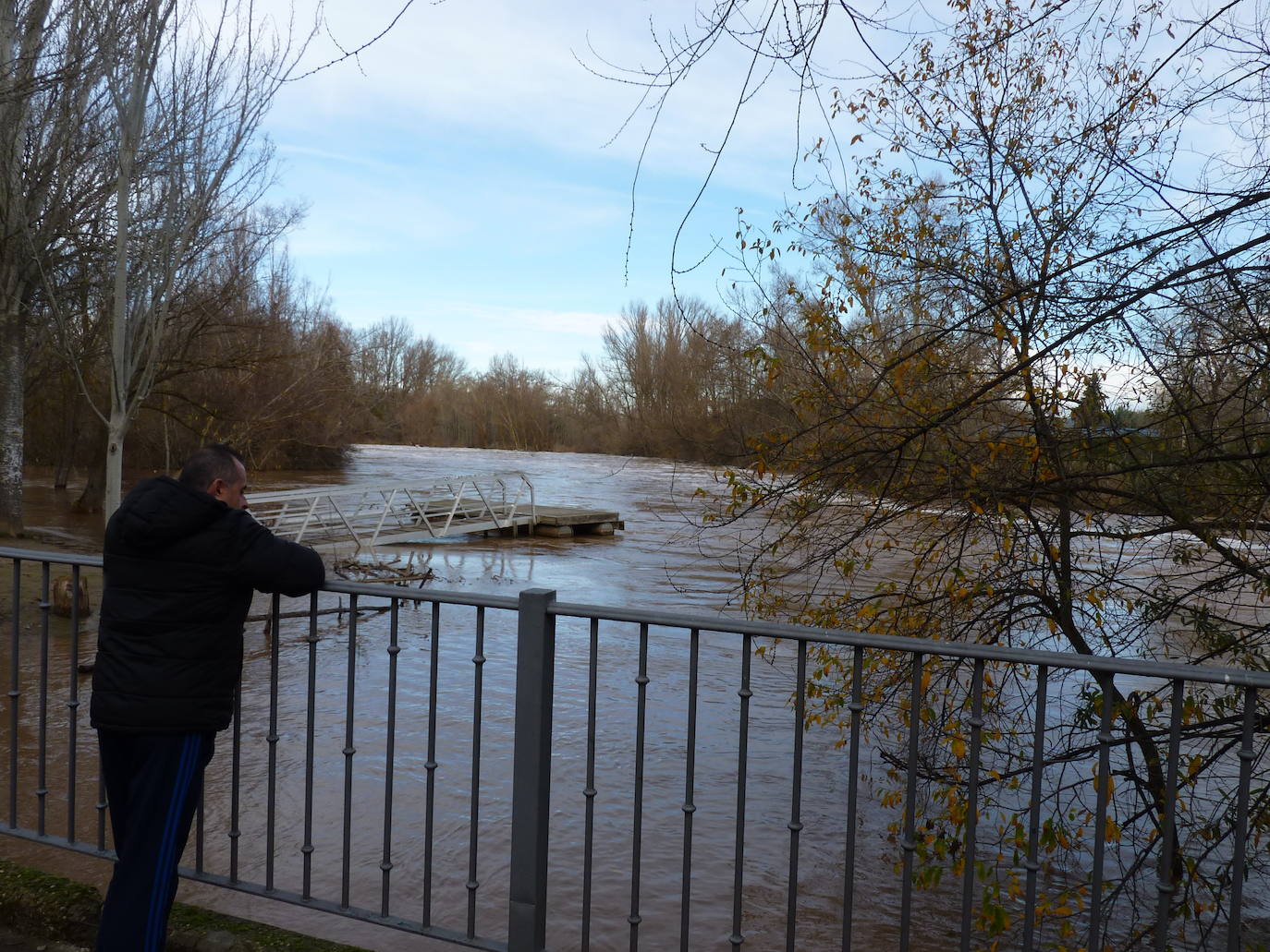 Fotos: El río Duero a la altura de Tudela el día de Navidad