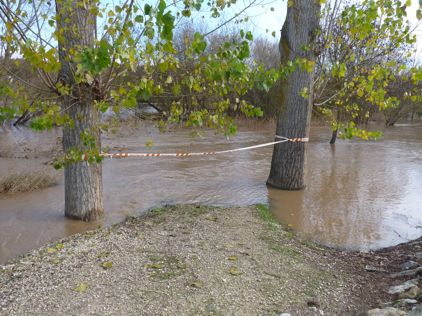 Fotos: El río Duero a la altura de Tudela el día de Navidad