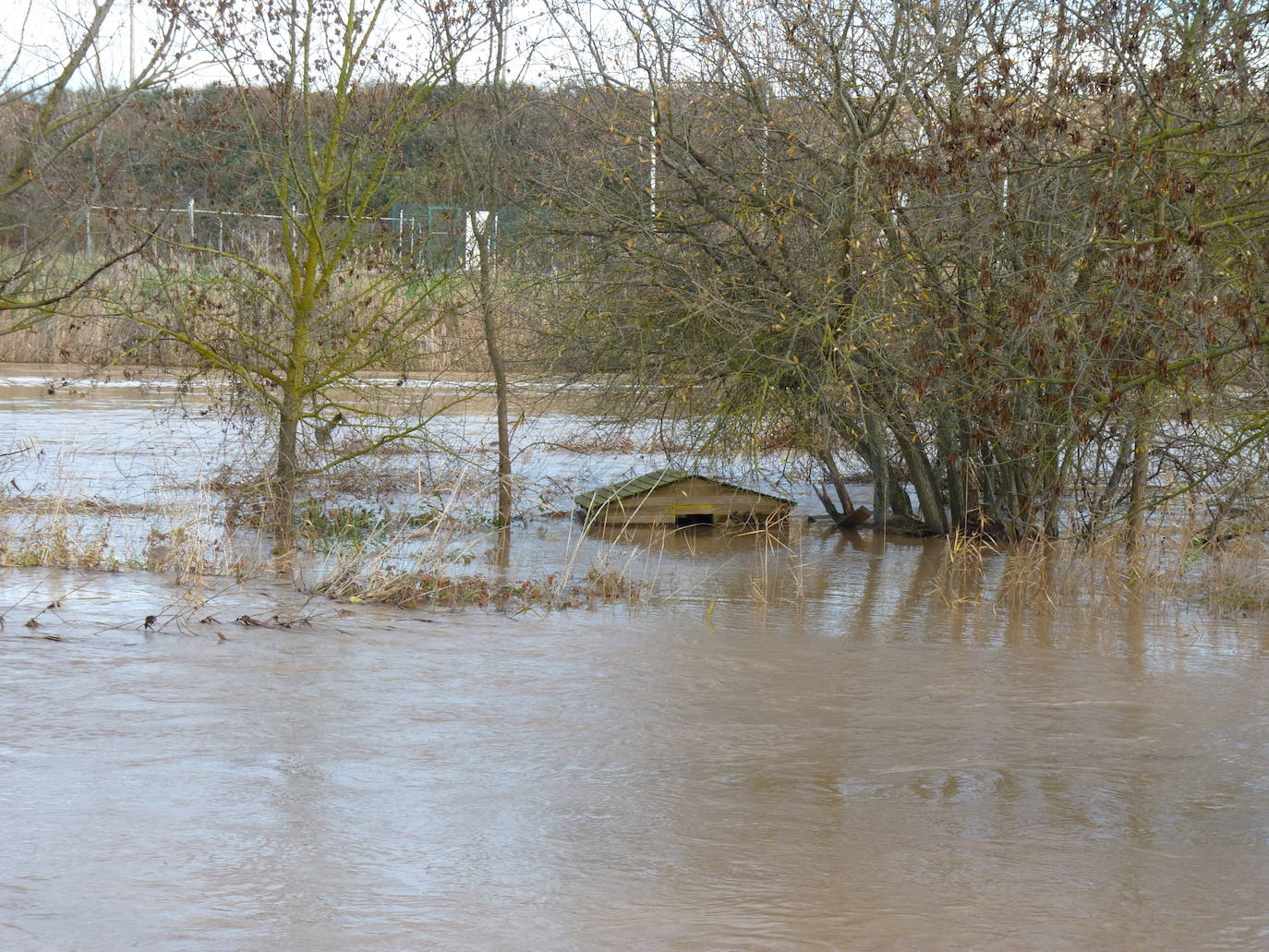 Fotos: El río Duero a la altura de Tudela el día de Navidad