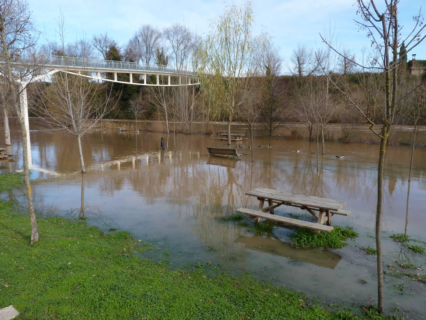 Fotos: El río Duero a la altura de Tudela el día de Navidad