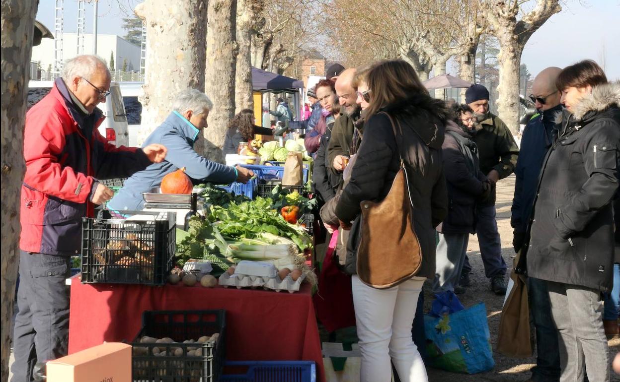 Mercado ecológico en el Prae. 