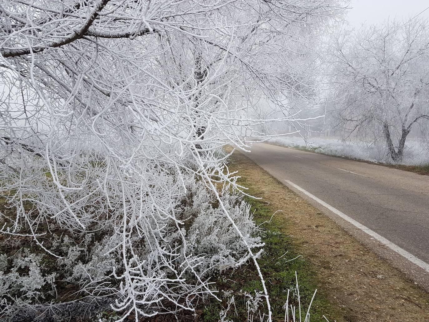 Valladolid amanece con nieba y hielo debido a las bajas temperaturas. 