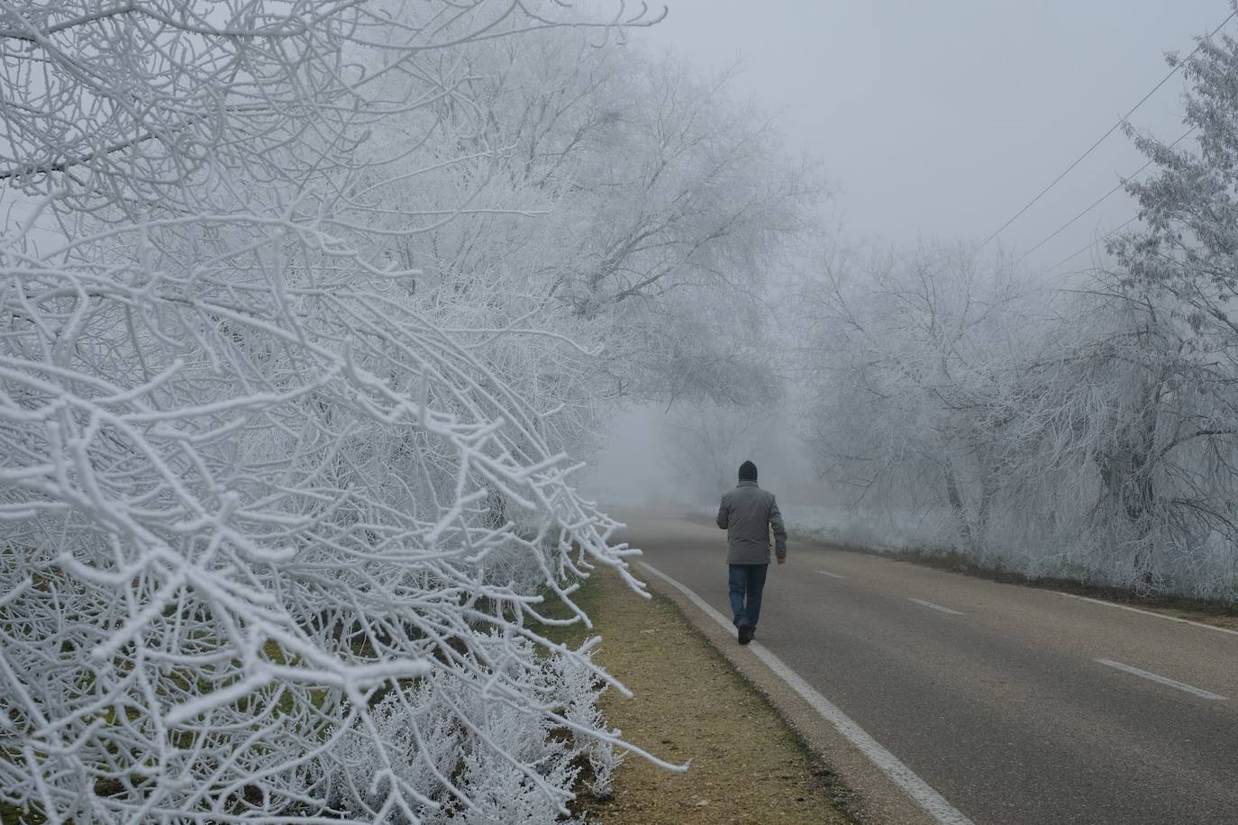 Valladolid amanece con nieba y hielo debido a las bajas temperaturas. 