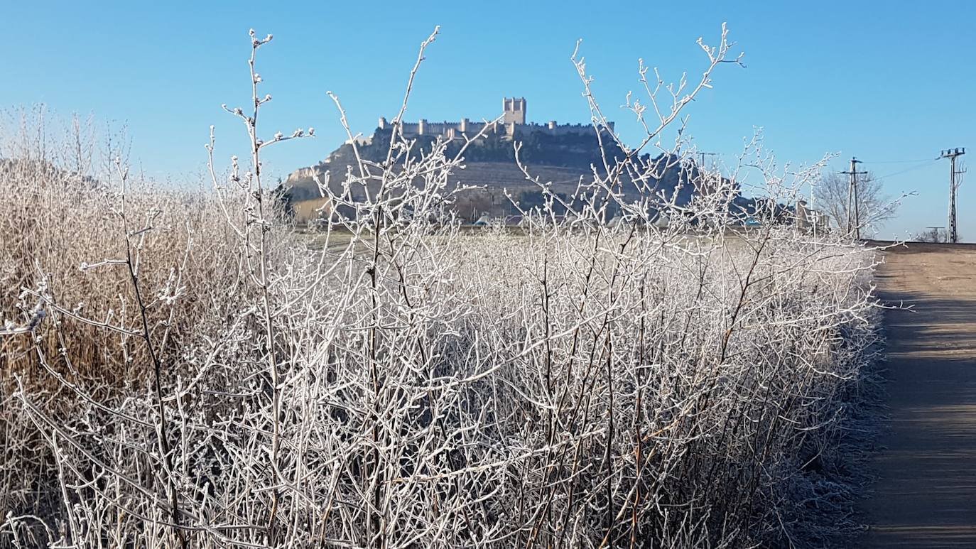 Valladolid amanece con nieba y hielo debido a las bajas temperaturas. 