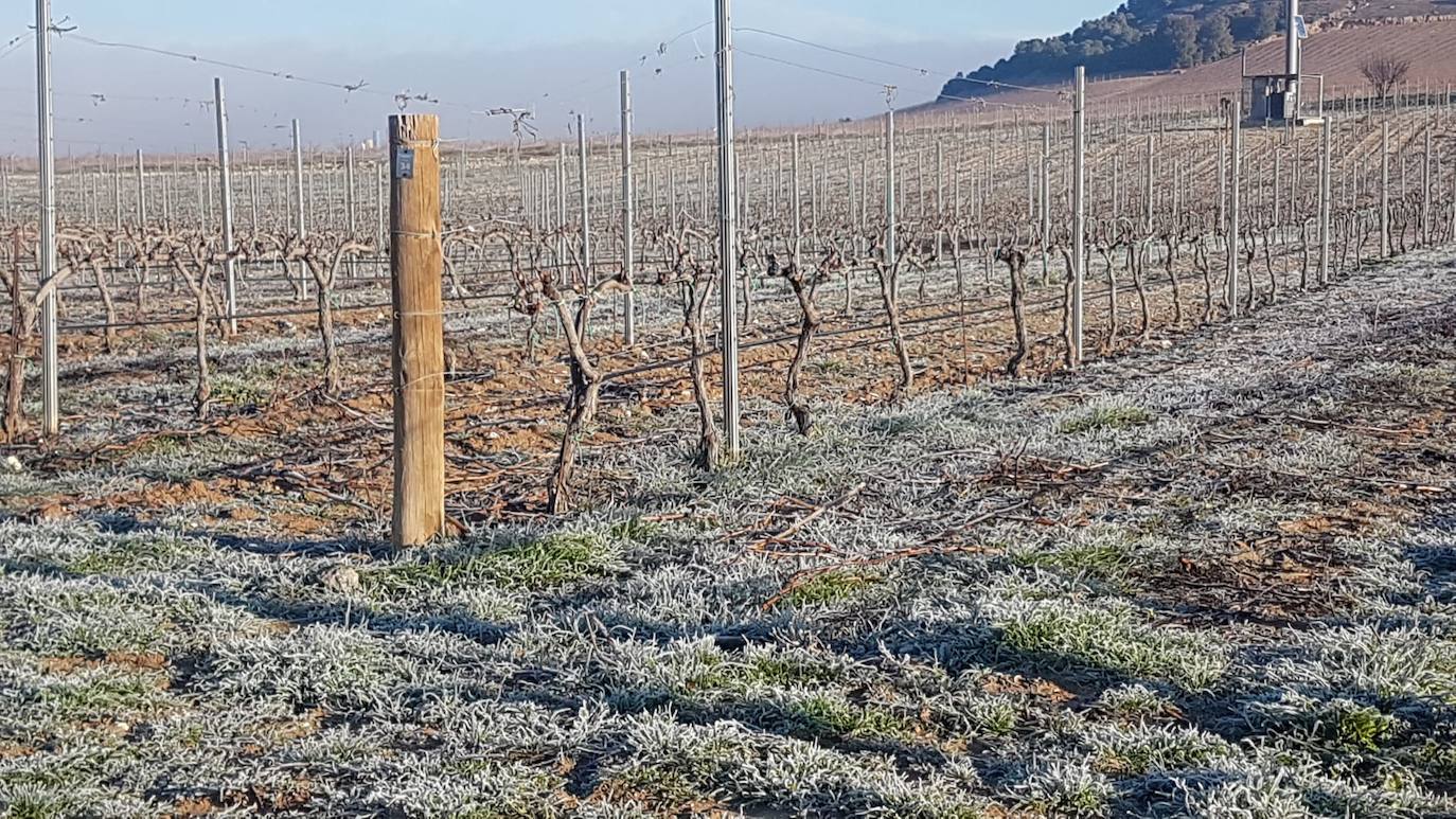 Valladolid amanece con nieba y hielo debido a las bajas temperaturas. 