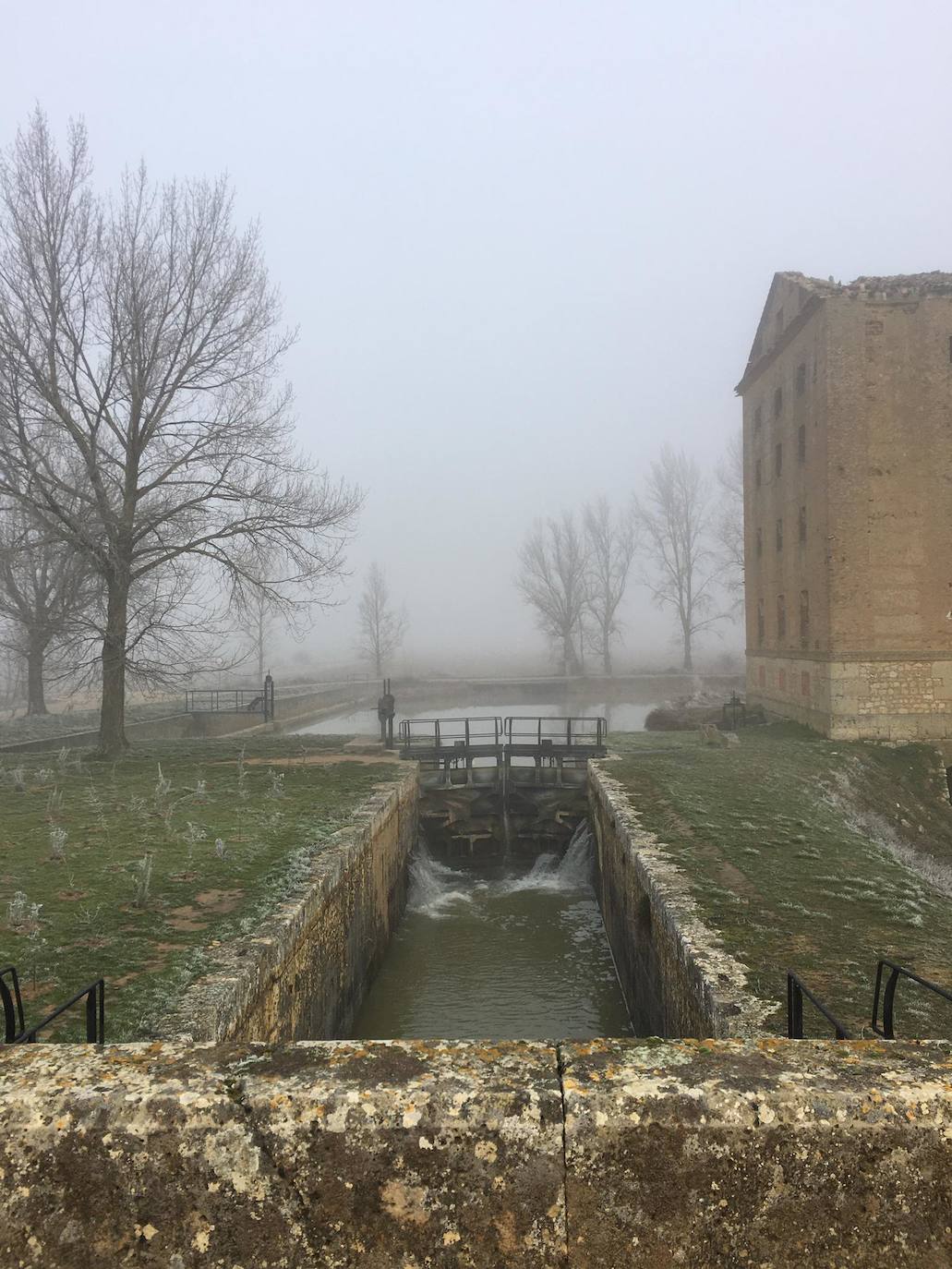 Cencellada en Medina de Rioseco el primer día de 2020.