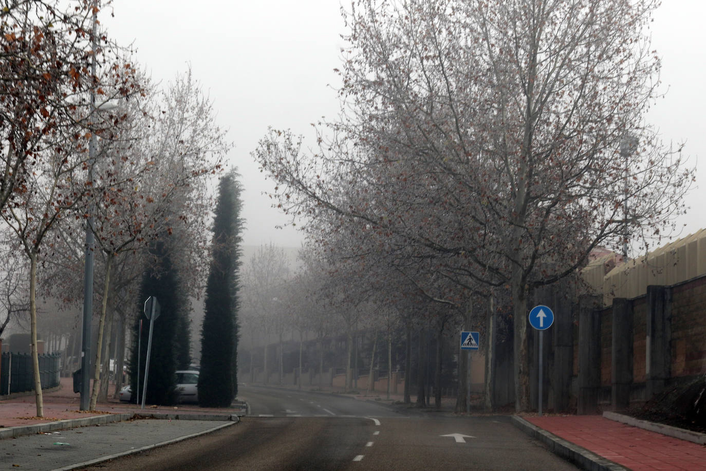 La provincia entera seguirá hoy y mañana en alerta amarilla por nieblas intensas