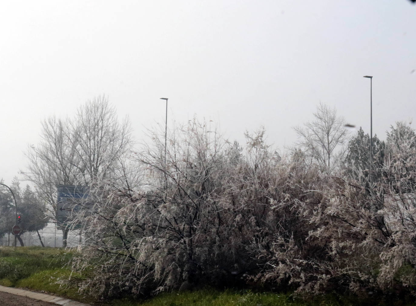 La provincia entera seguirá hoy y mañana en alerta amarilla por nieblas intensas