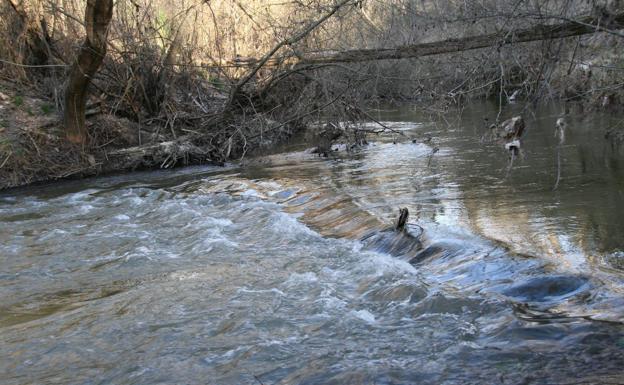 Un tramo del río Cega a su paso por el municipio de Cuéllar