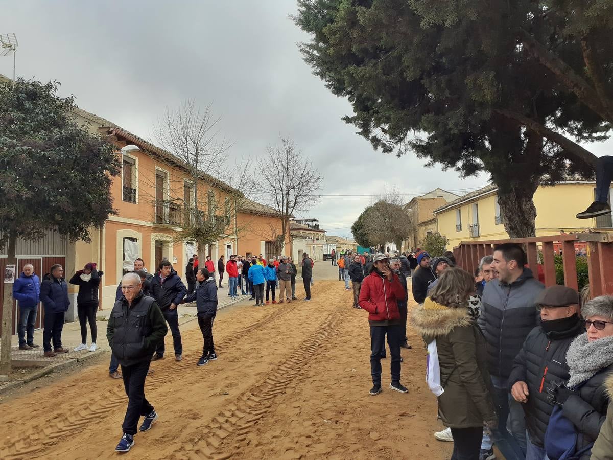 Fotos: Las imágenes del encierro de Villafrechós