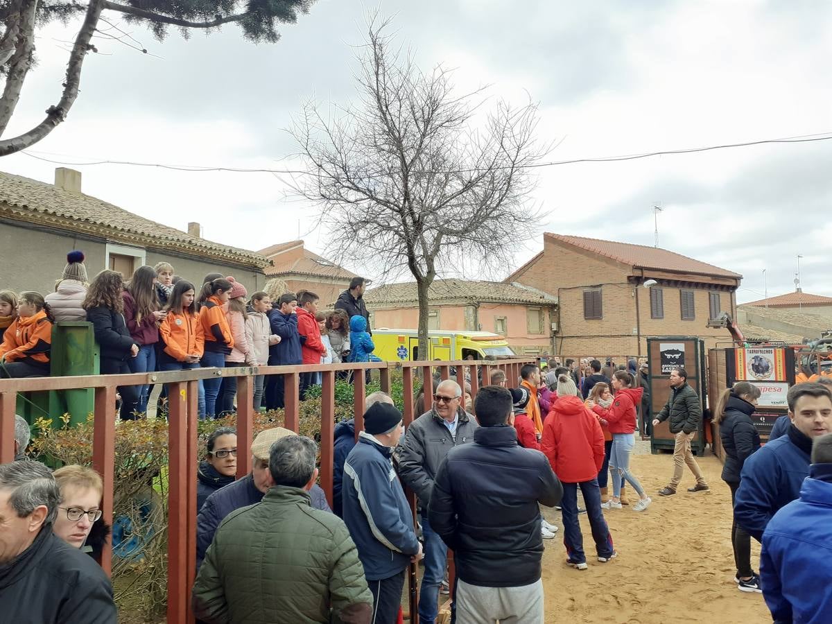 Fotos: Las imágenes del encierro de Villafrechós