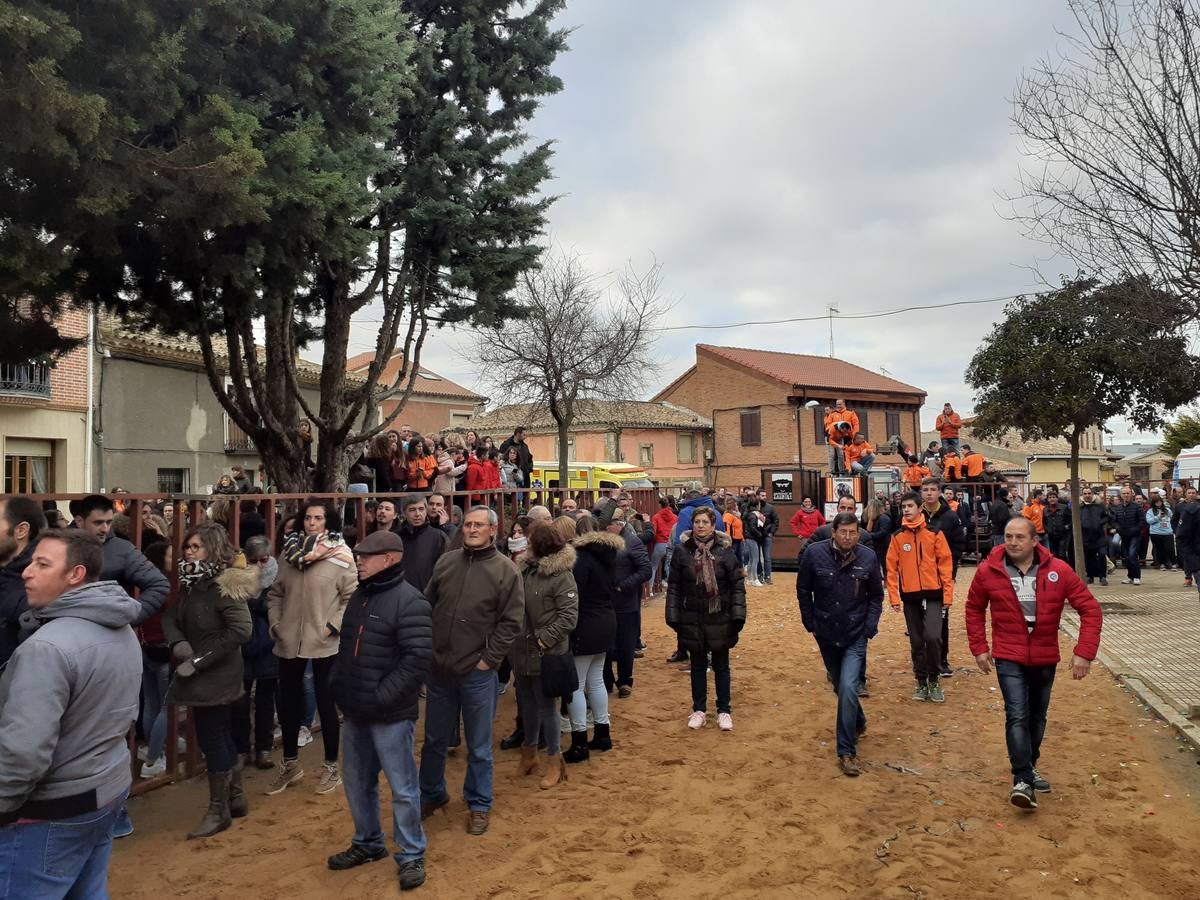 Fotos: Las imágenes del encierro de Villafrechós