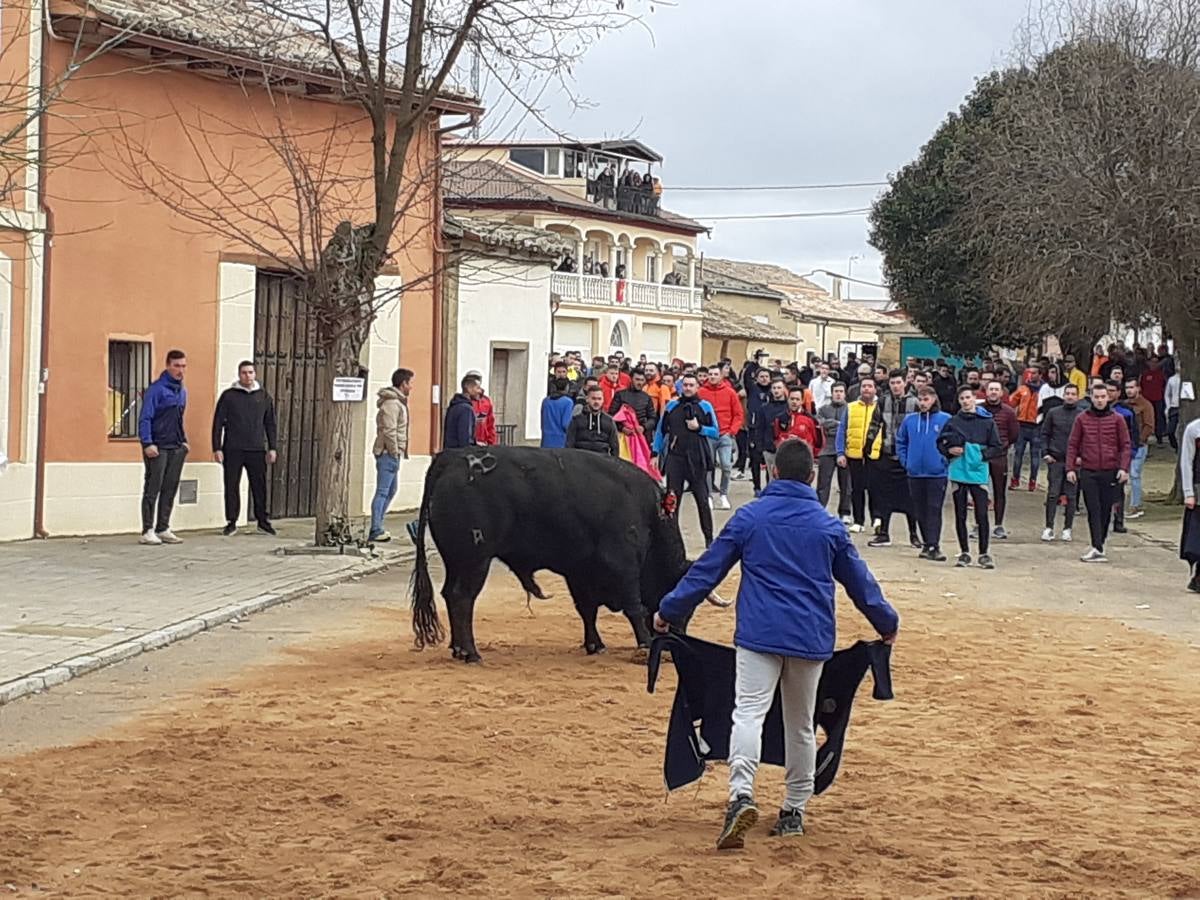 Fotos: Las imágenes del encierro de Villafrechós