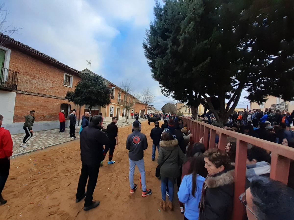 Fotos: Las imágenes del encierro de Villafrechós