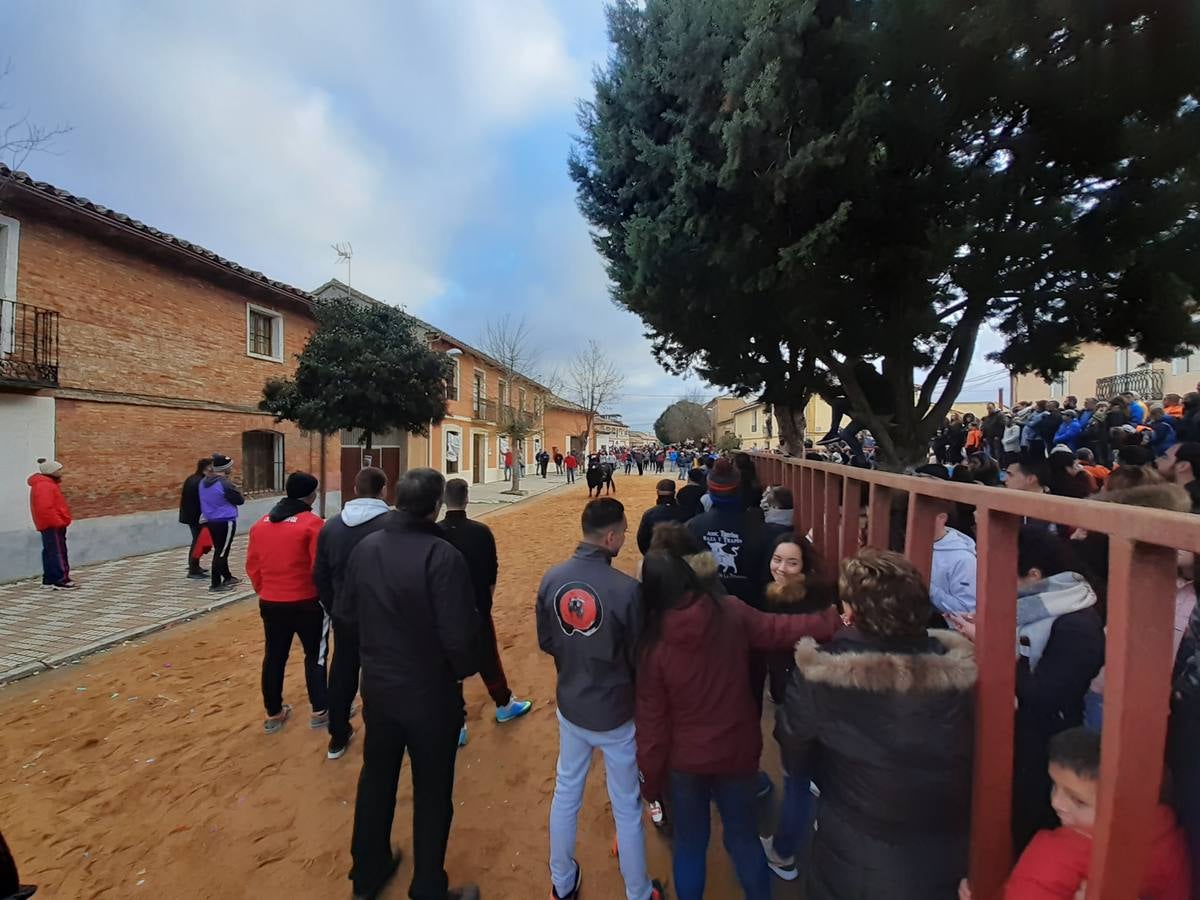 Fotos: Las imágenes del encierro de Villafrechós