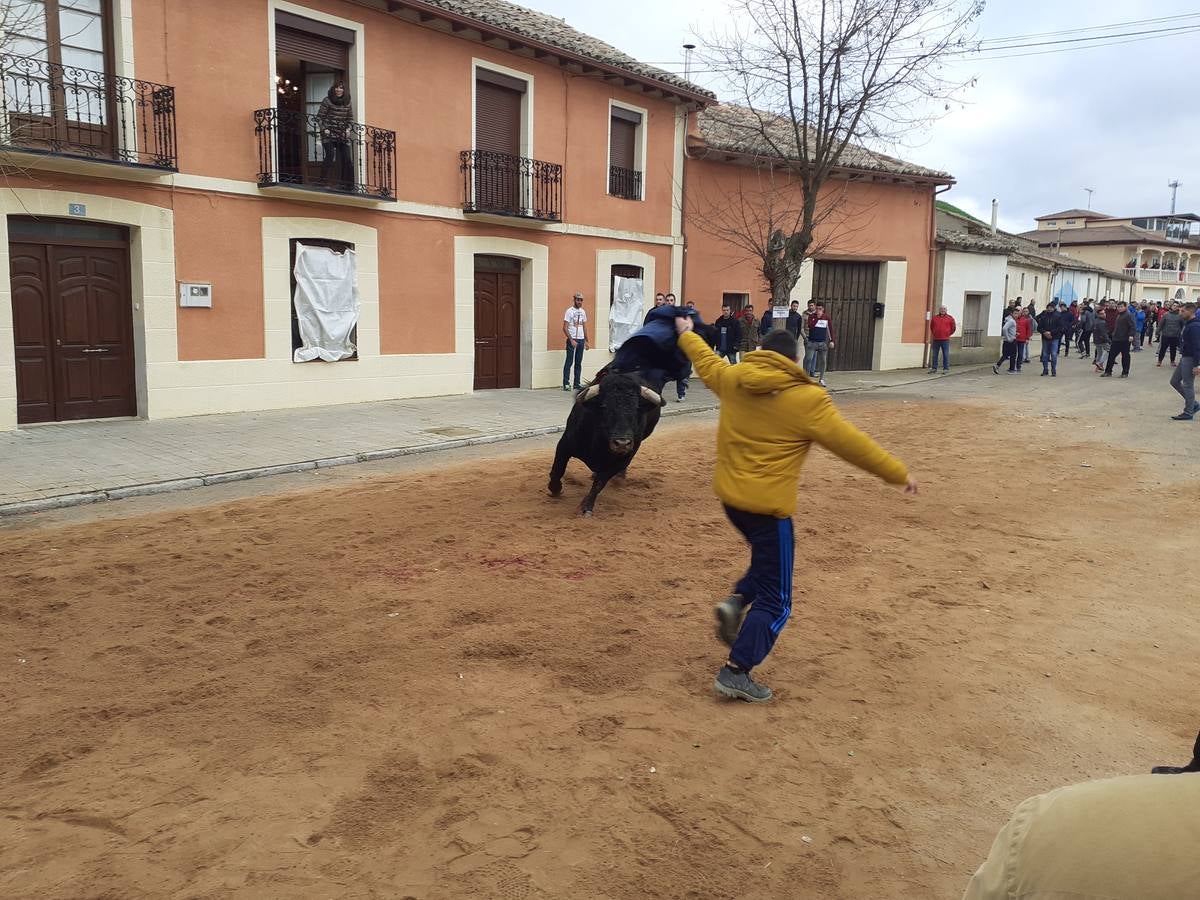 Fotos: Las imágenes del encierro de Villafrechós