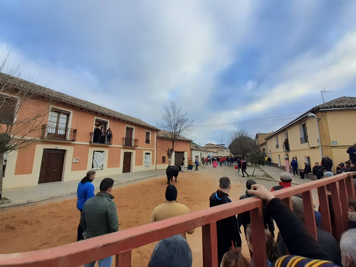 Fotos: Las imágenes del encierro de Villafrechós