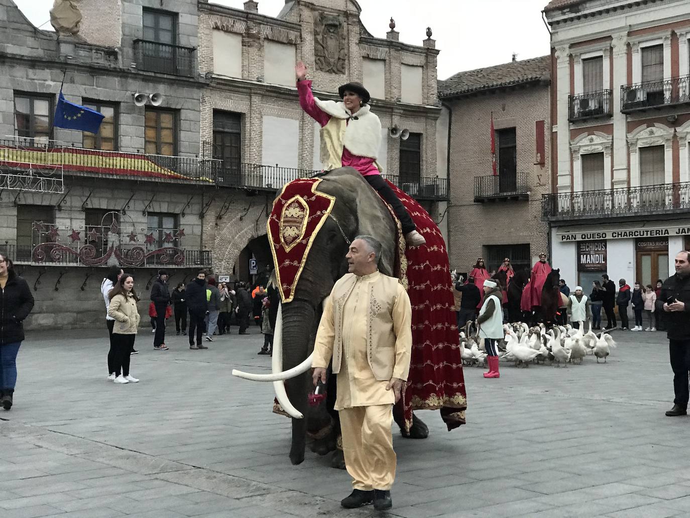 Frank de la Jungla denuncia el uso de la elefanta en el desfile de Medina del Campo después de que esta embistiera al alcalde